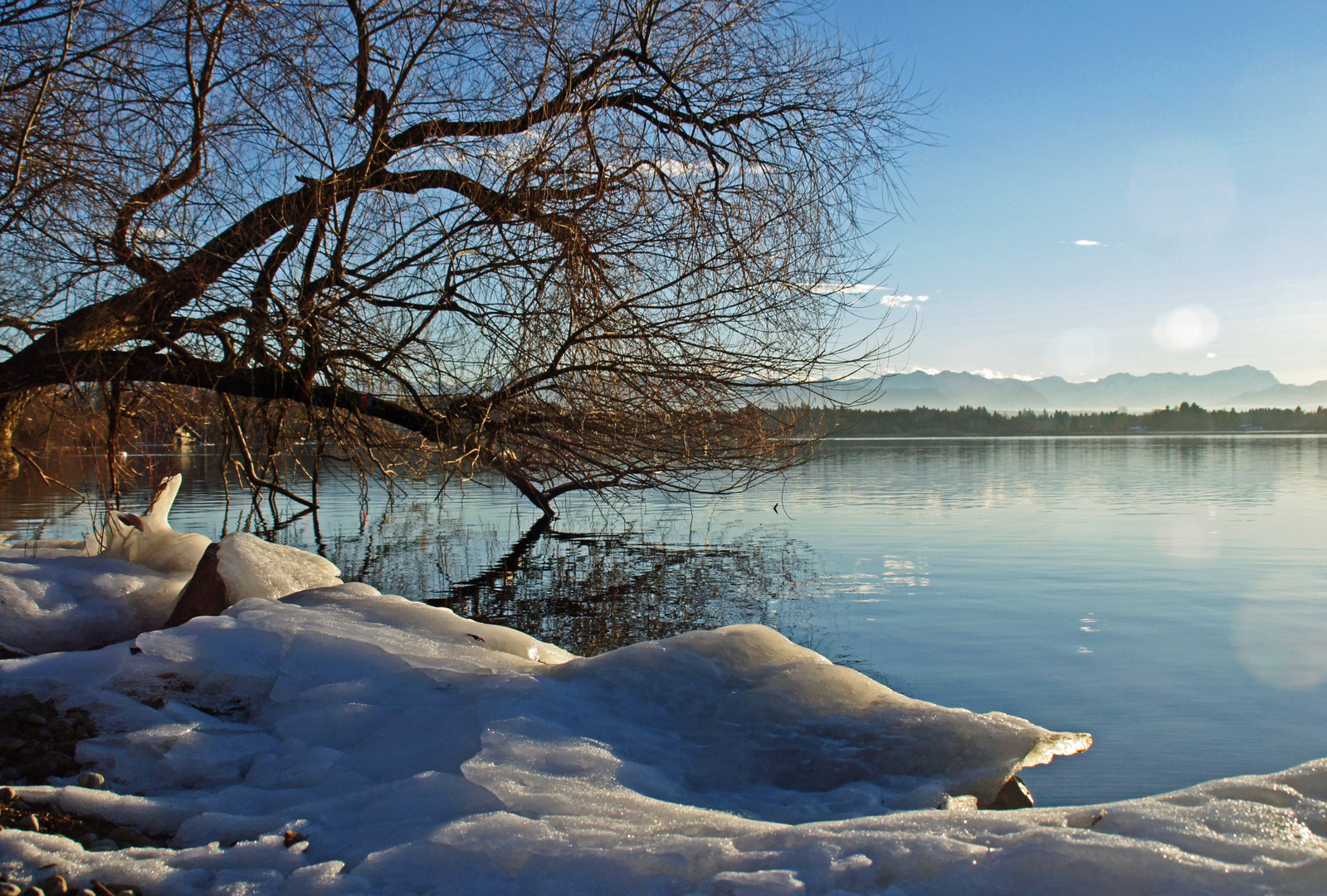 Winterwunderland Starnberger See