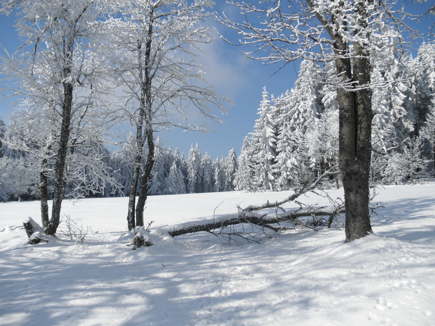 Winterwunderland Steinwald