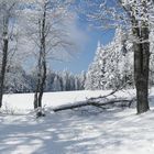 Winterwunderland Steinwald