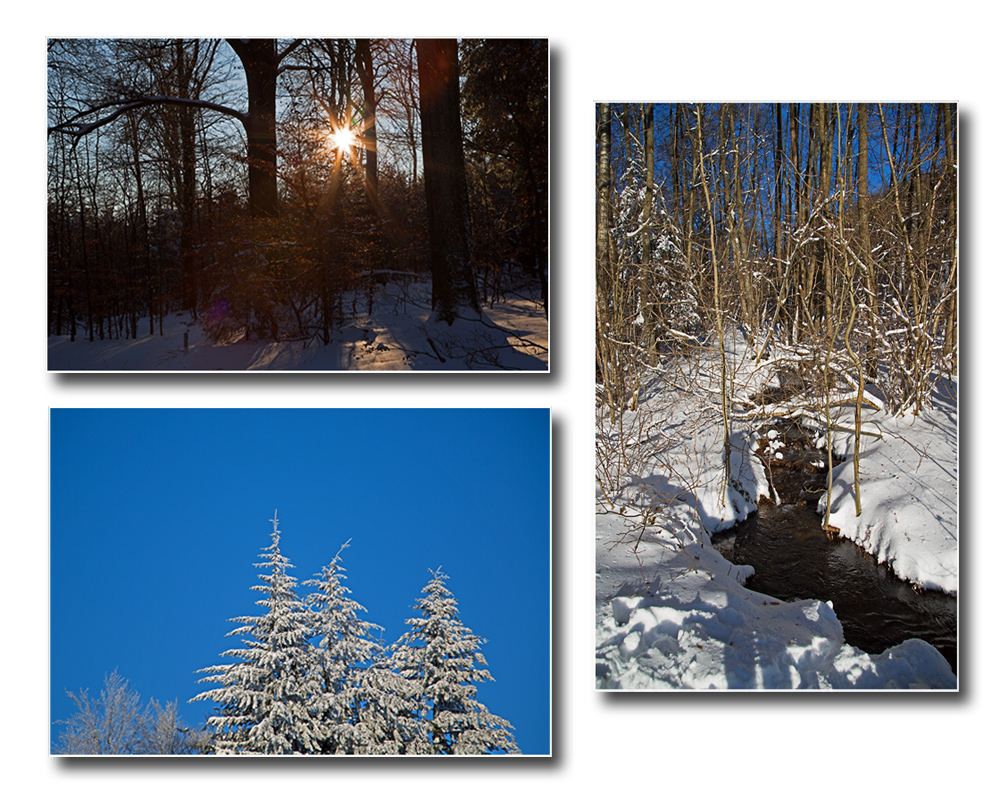 Winterwunderland Taunus