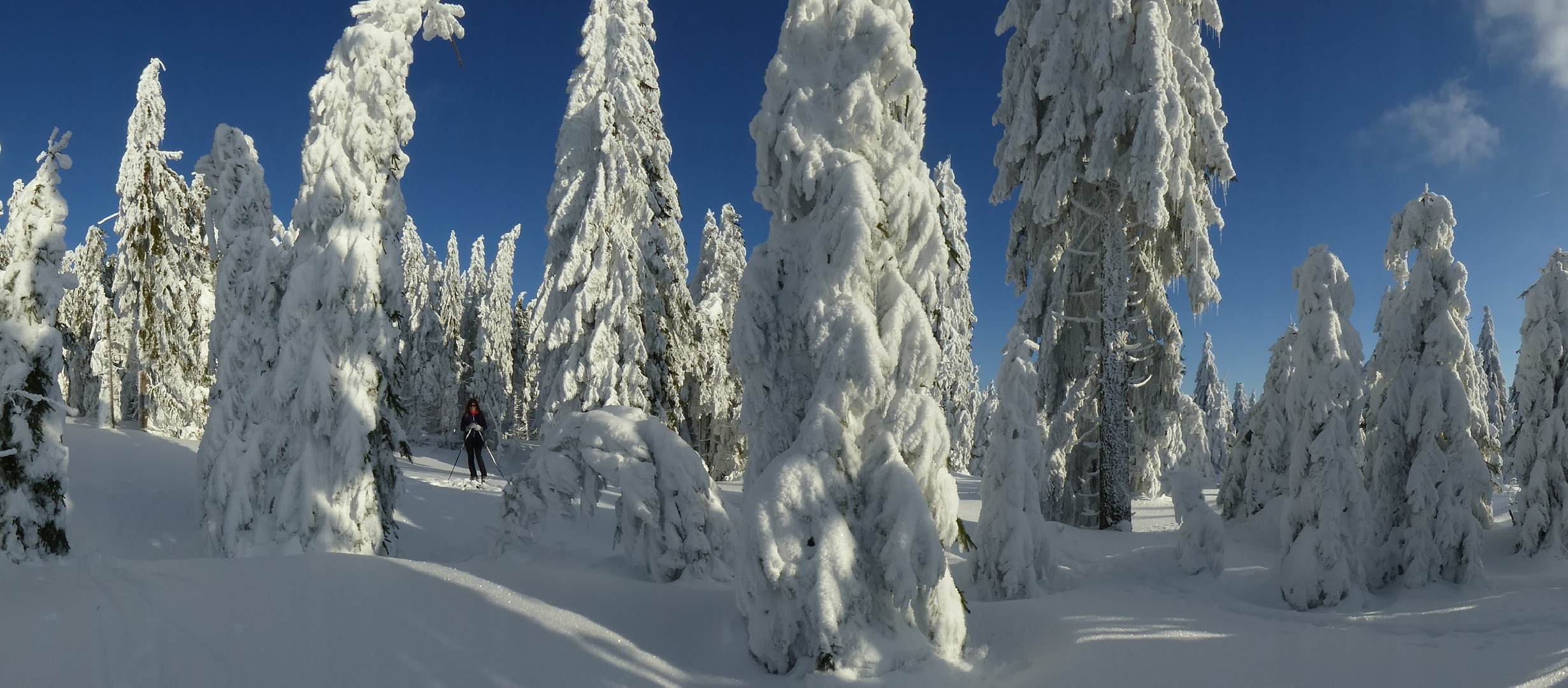 Winterwunderland um den Arber