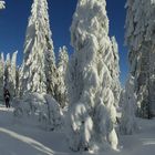 Winterwunderland um den Arber