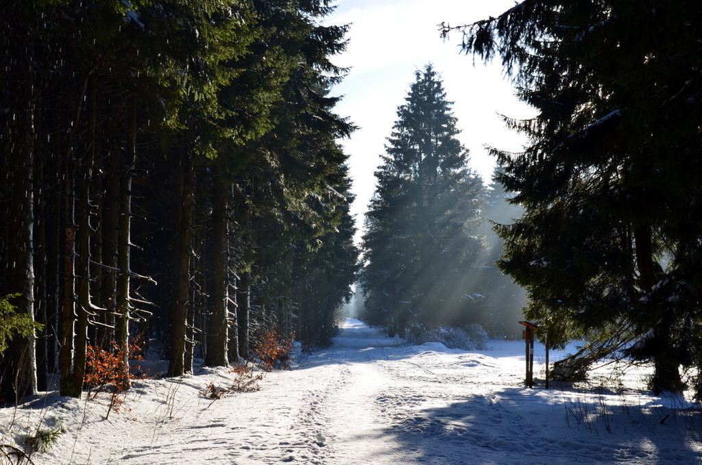 Winterwunderland Vogelsberg