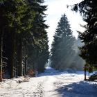 Winterwunderland Vogelsberg