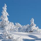 Winterwunderland, Wagrain www.kurt-praher.com