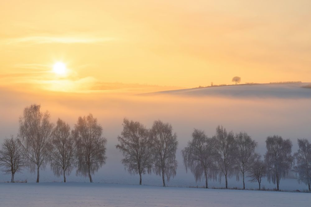 Winterwunderland - Winterzauber