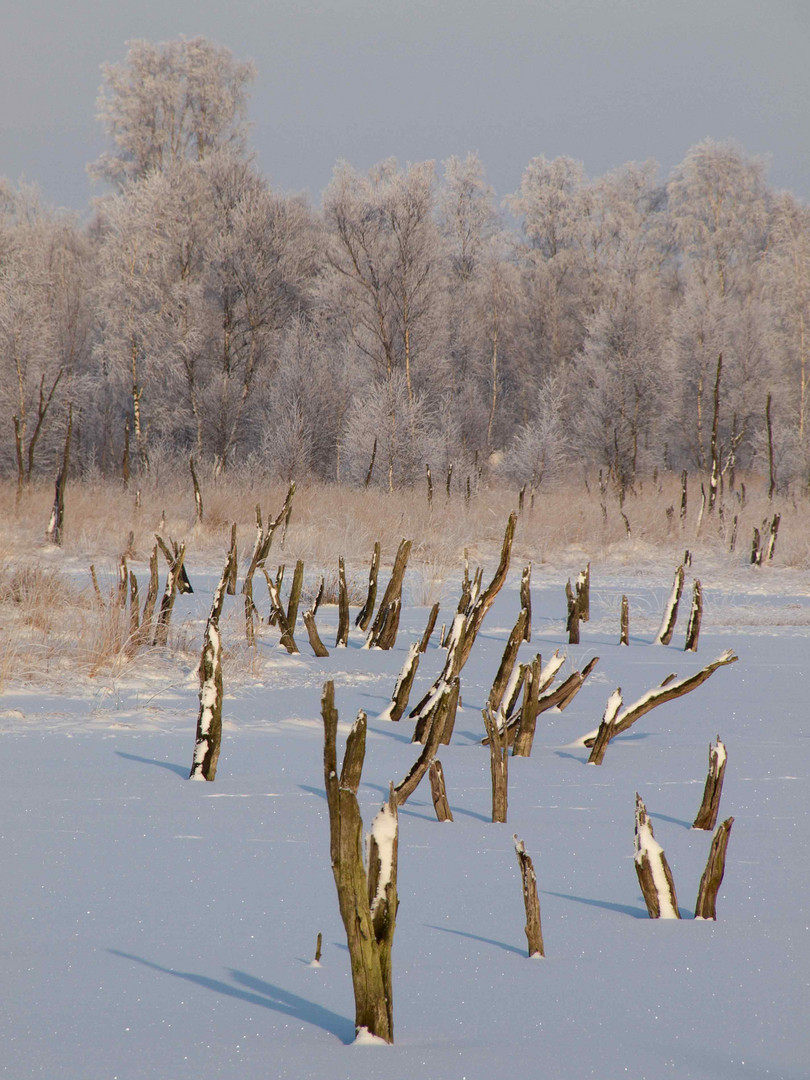 WInterwunderland Wittmoor I