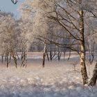 Winterwunderland Wittmoor II