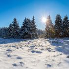 Winterwunderlandschaft panorama