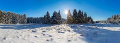 Winterwunderlandschaft panorama