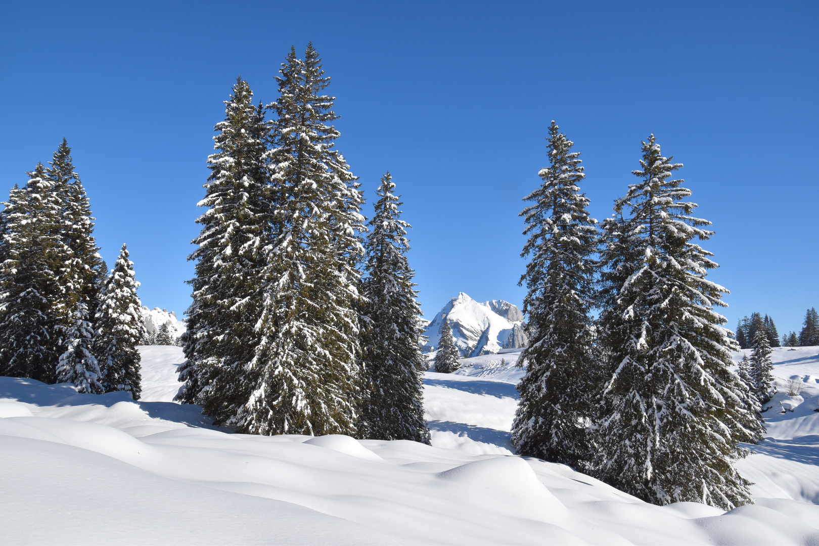 Winterwunderwanderrundweg