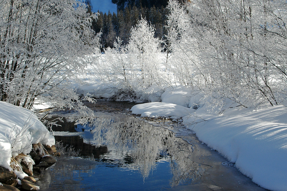 Winterwunderwelt 1