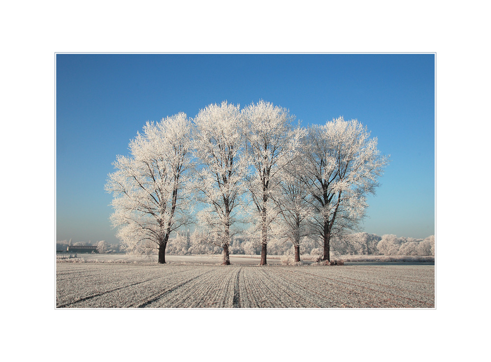 WinterWunderWelt