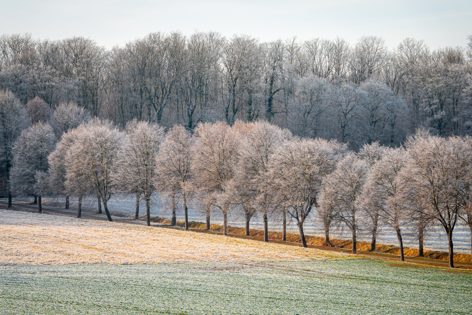 Winterwunderwelt