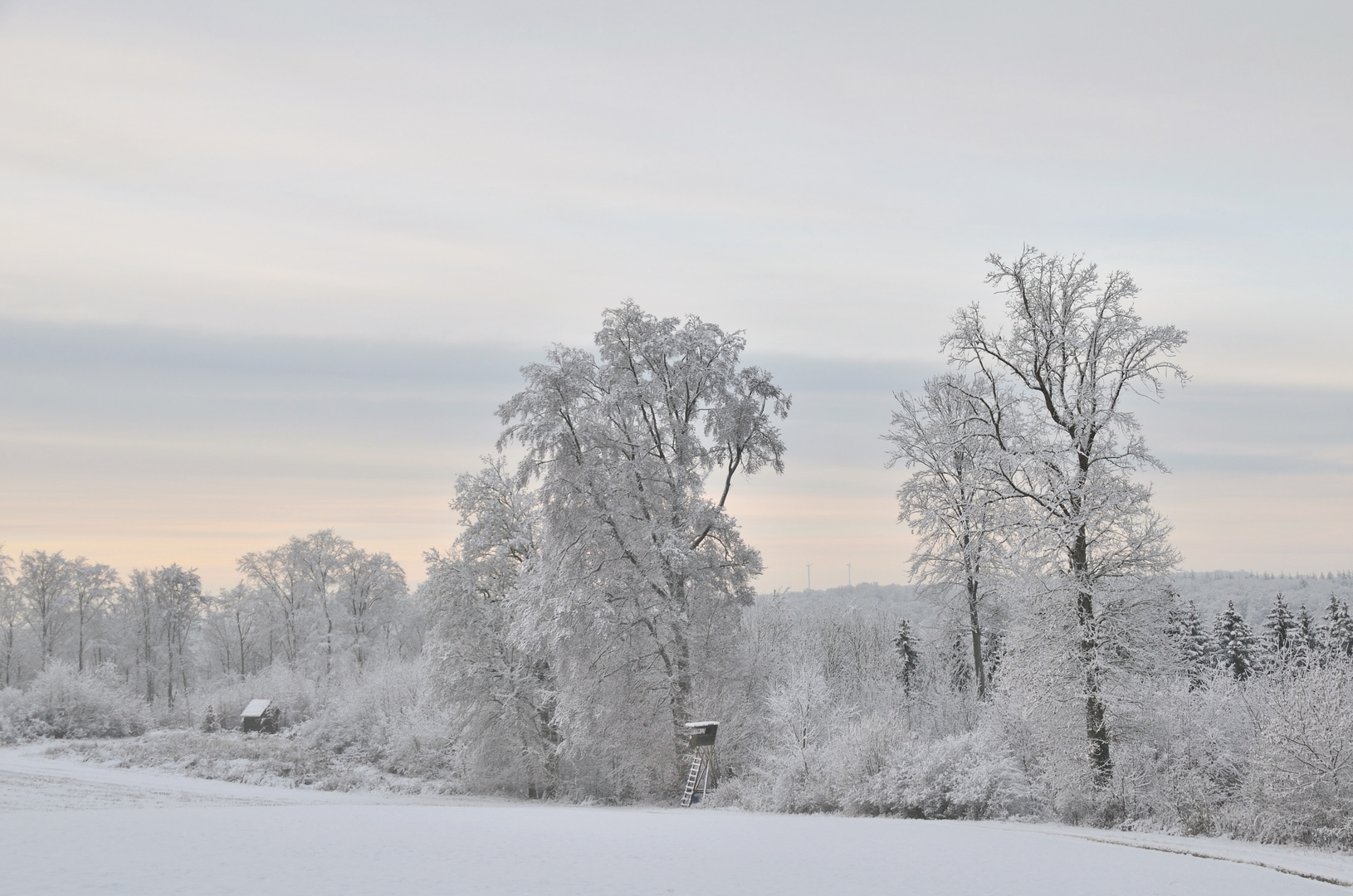 Winterwunderwelt