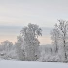 Winterwunderwelt