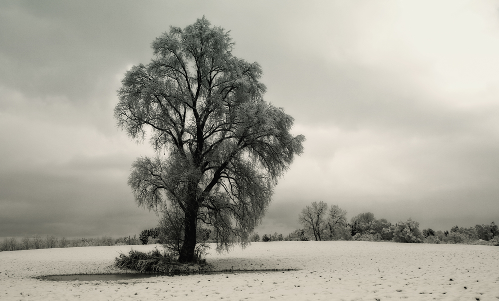 WinterwunderWelt