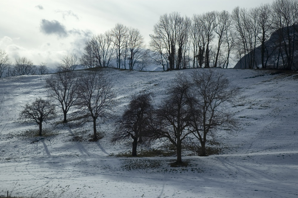 WinterWunderWelt