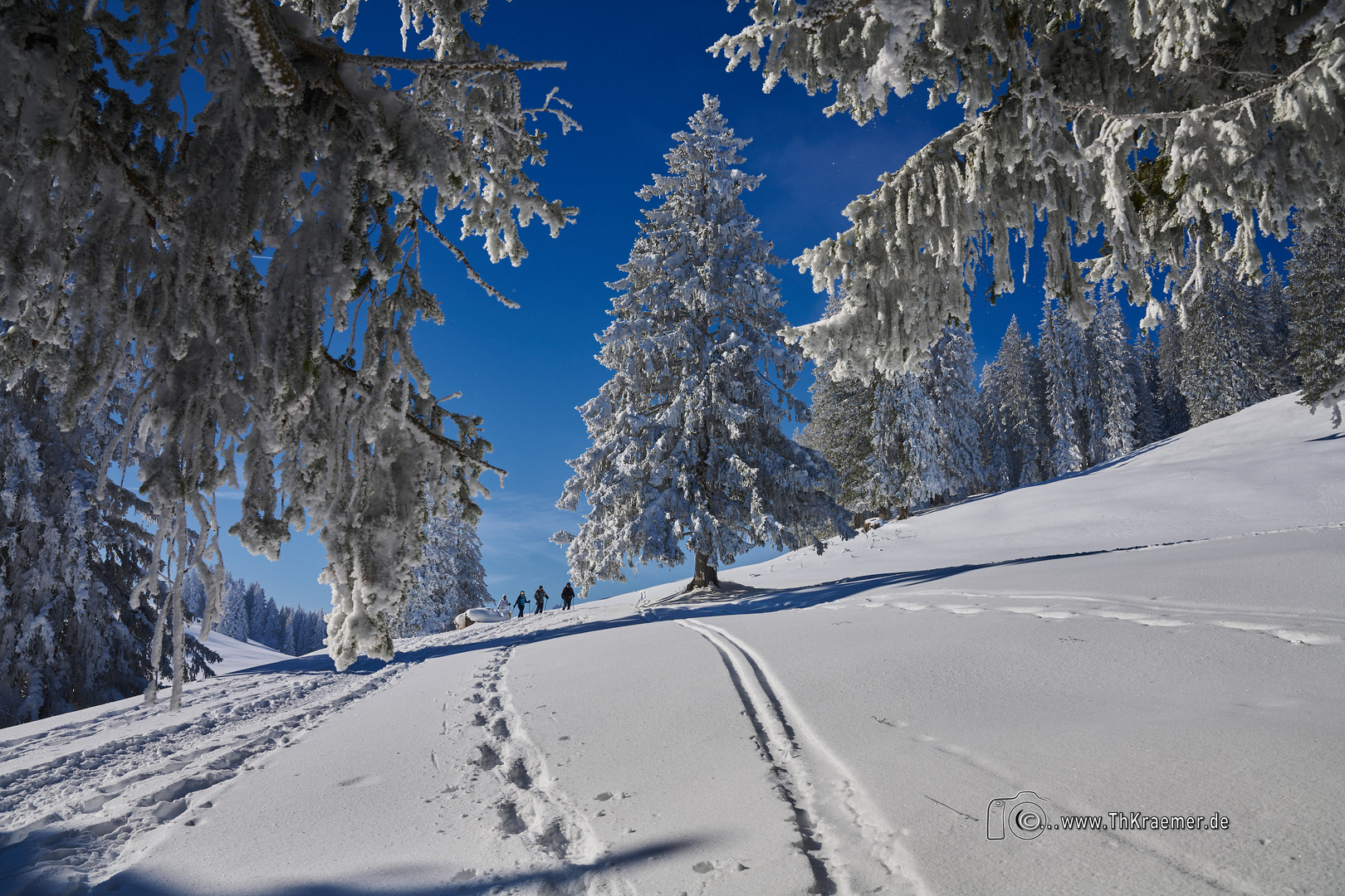 Winterwunderwelt - C1_NZ7_1696