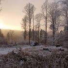 Winterwunderwelt im Odenwald