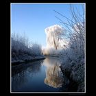 WinterWunderWelt - Part 2