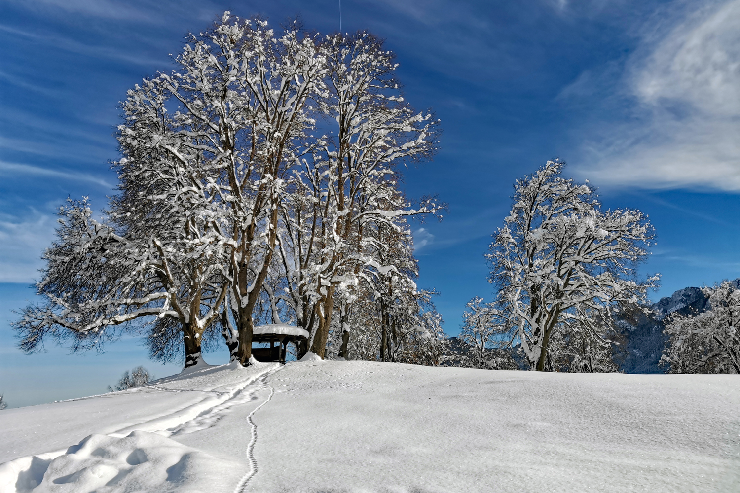 Winterwunderzeit!