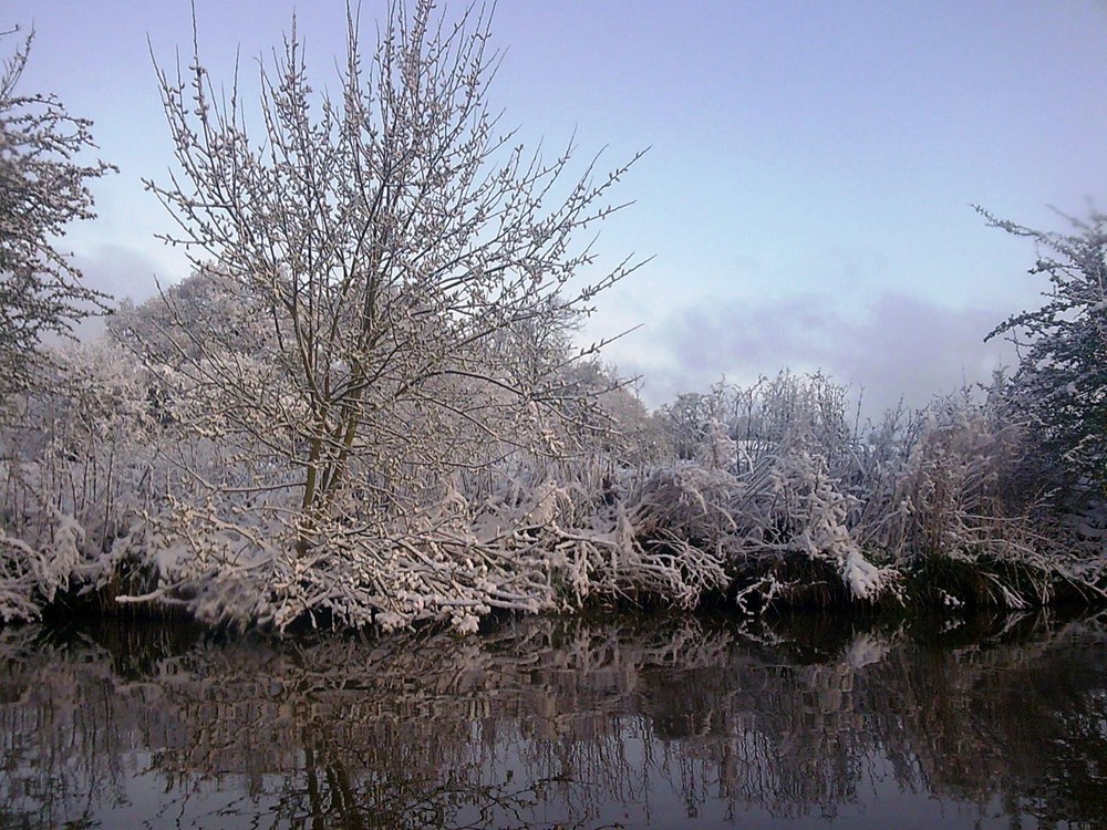 Wintery Canal Bank