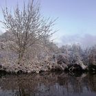 Wintery Canal Bank