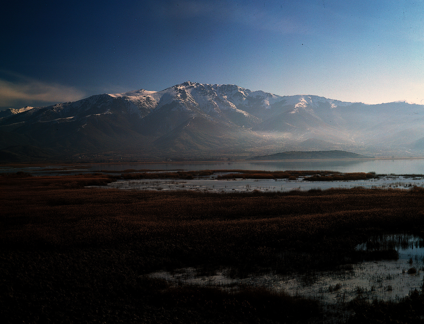 Wintery  dawn