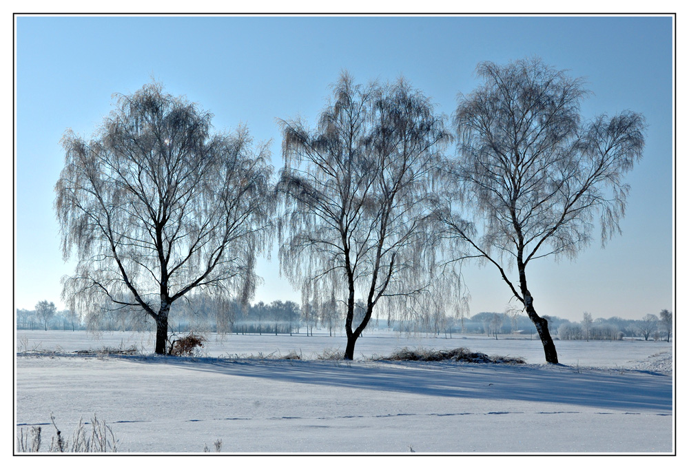 Wintery Landschaft