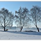 Wintery Landschaft