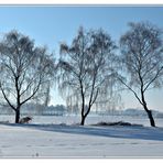 Wintery Landschaft