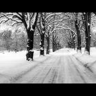 Wintery Tunnel