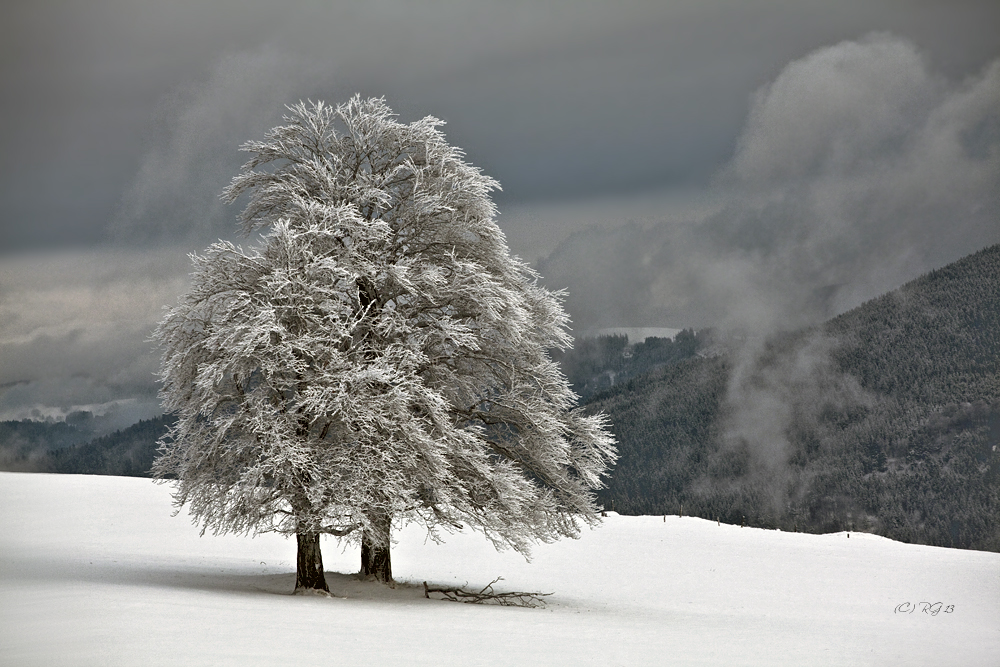 winterzauber