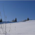 Winterzauber