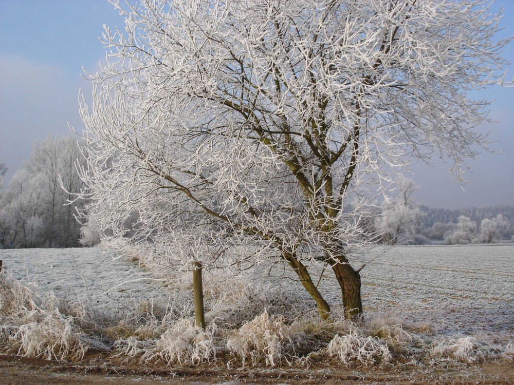 Winterzauber