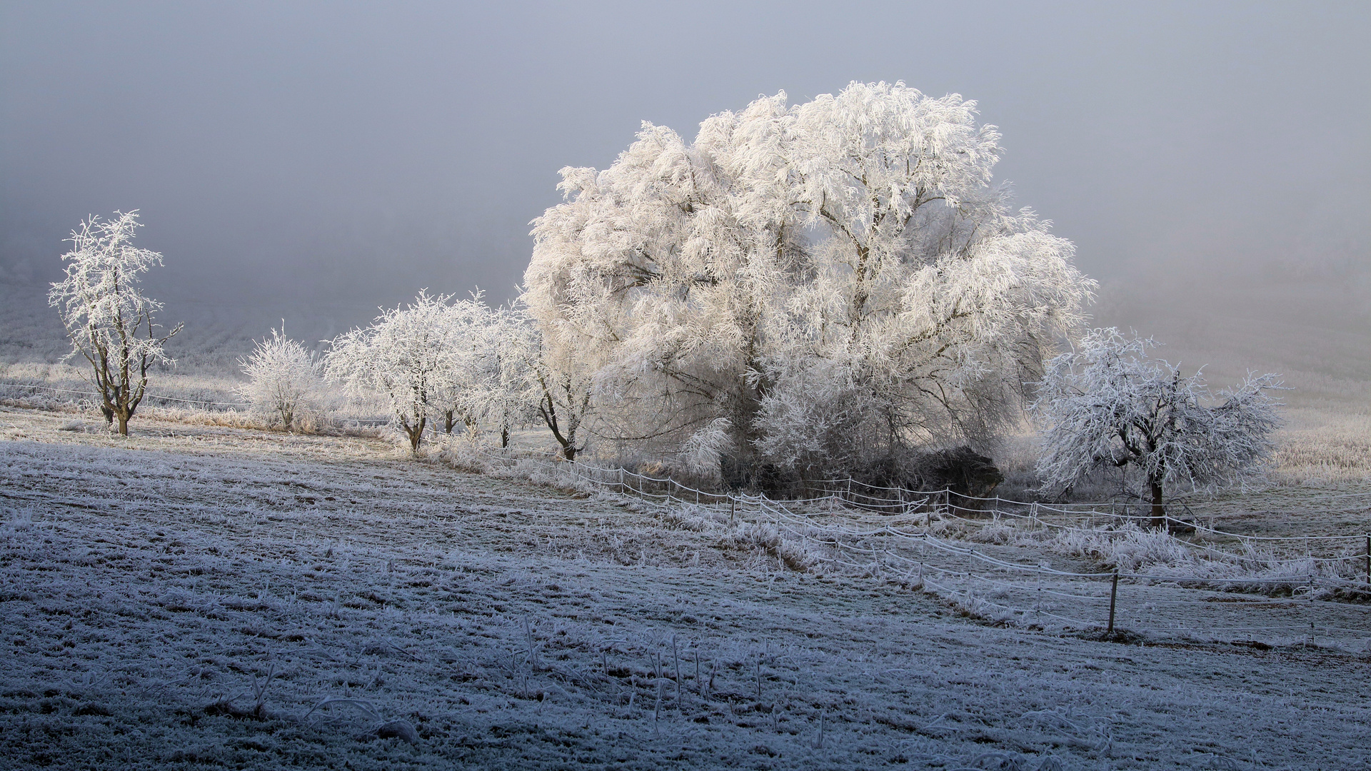 Winterzauber