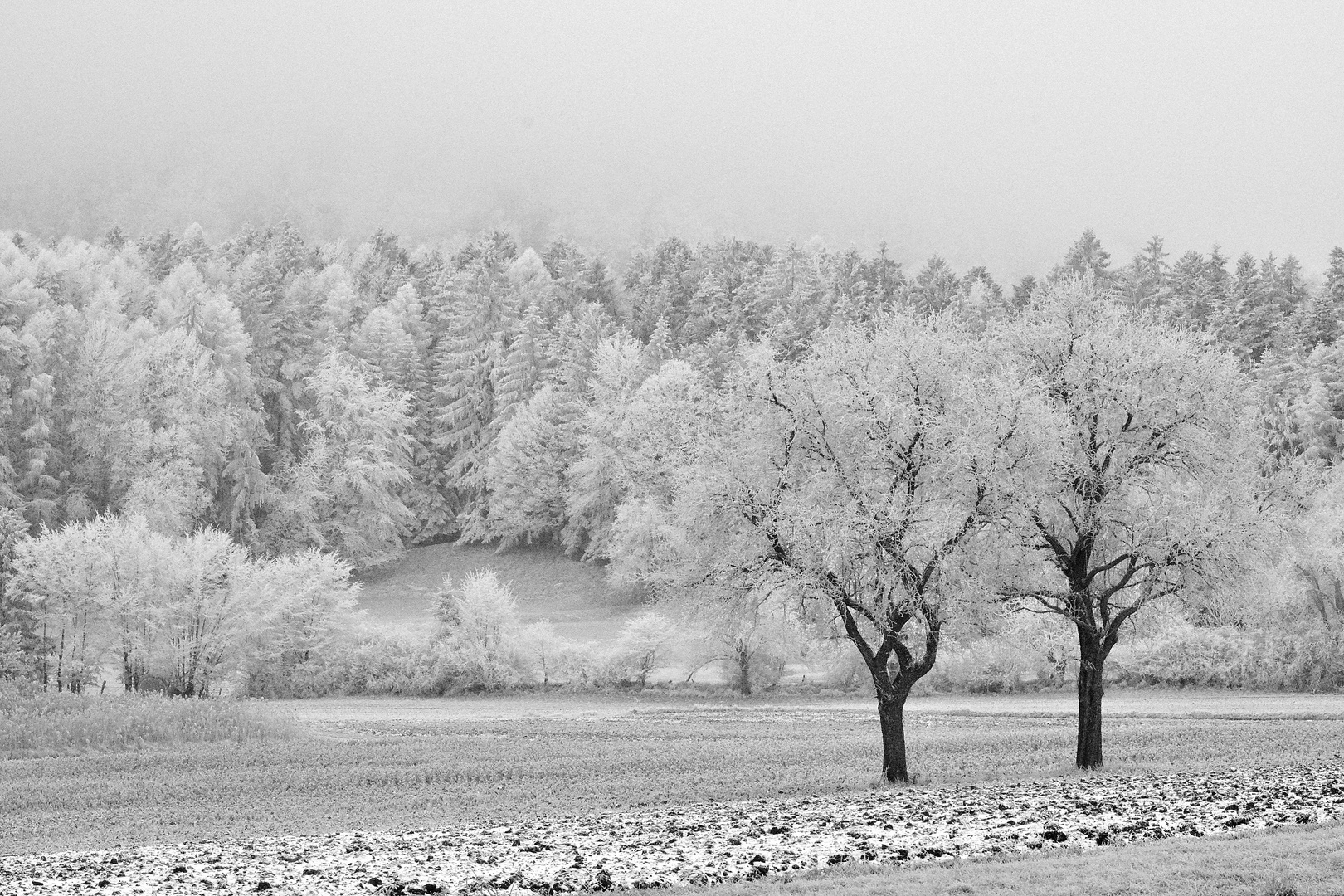 Winterzauber