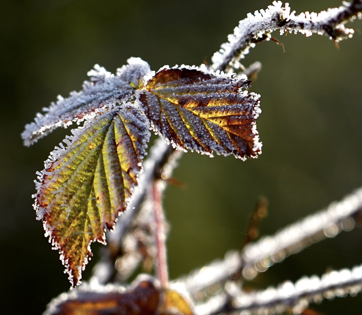 Winterzauber