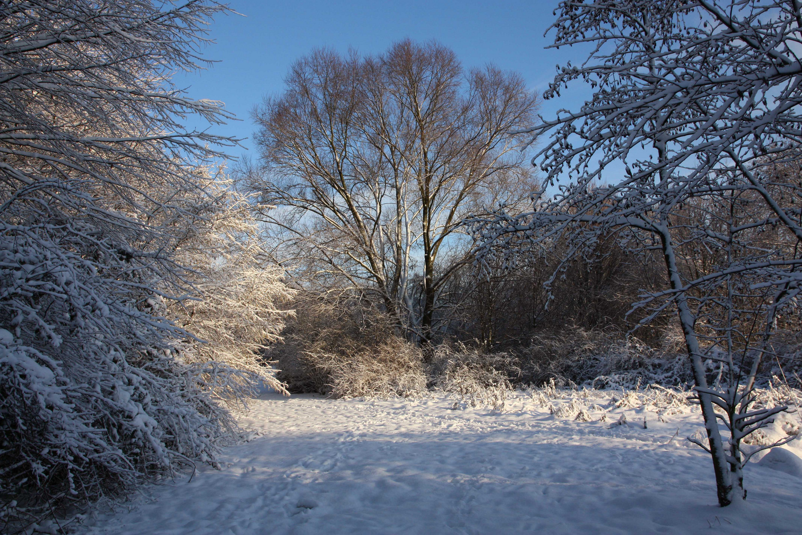 Winterzauber