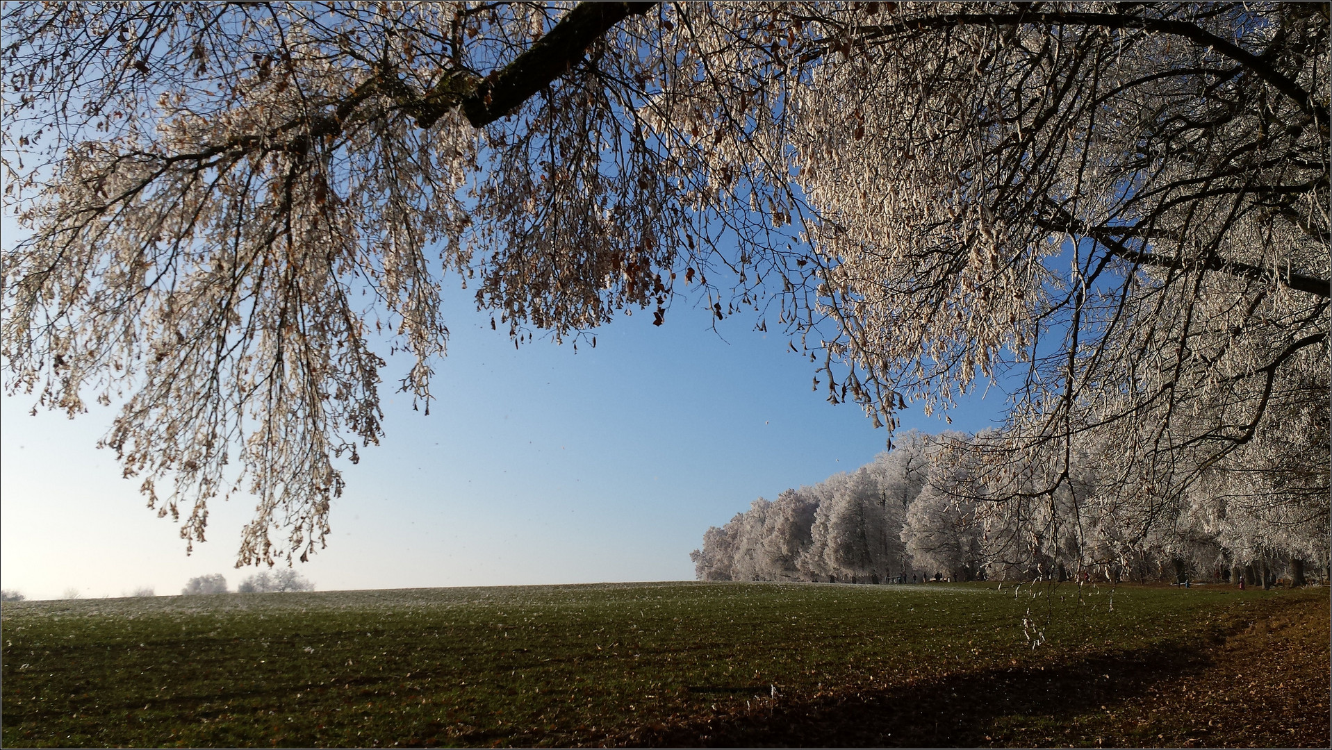 Winterzauber