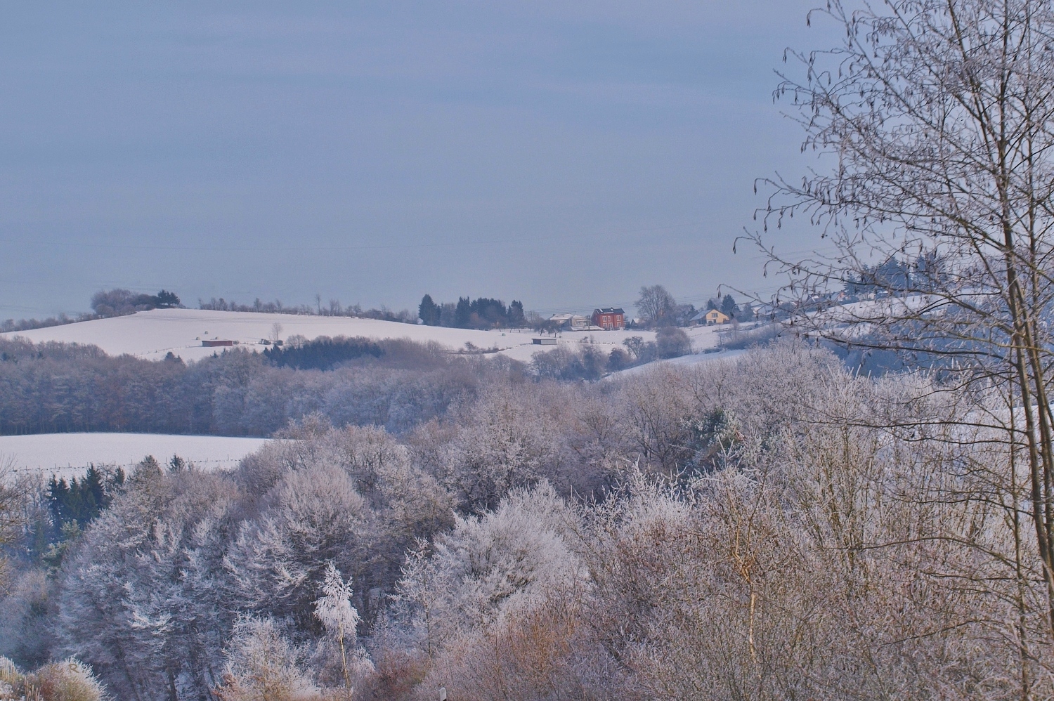 Winterzauber (1)