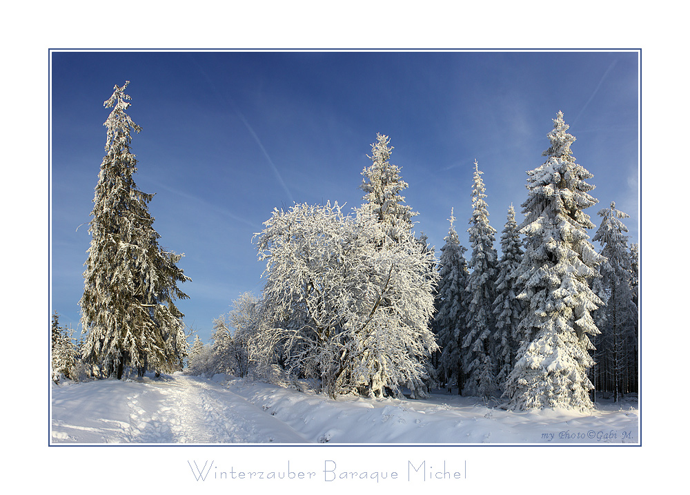 ~Winterzauber~