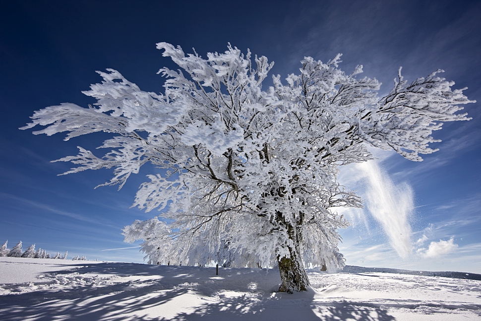 Winterzauber