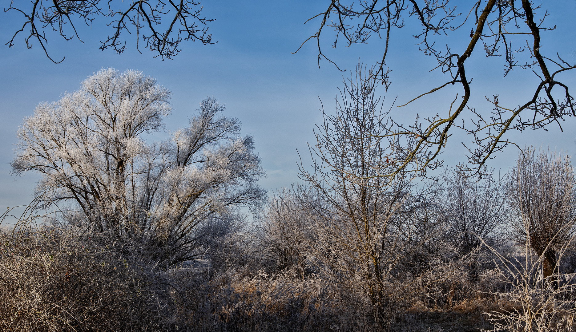 Winterzauber