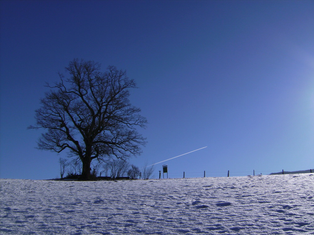 Winterzauber