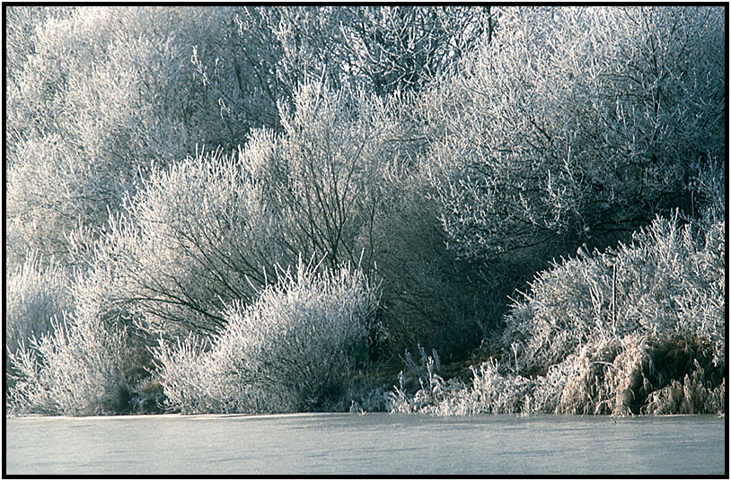 "Winterzauber"