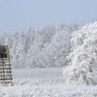 Winterzauber 2 / Nationalpark Unteres Odertal