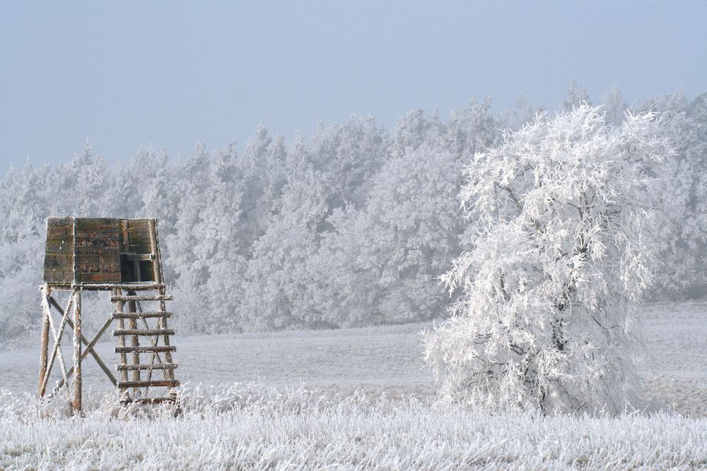 Winterzauber 2 / Nationalpark Unteres Odertal