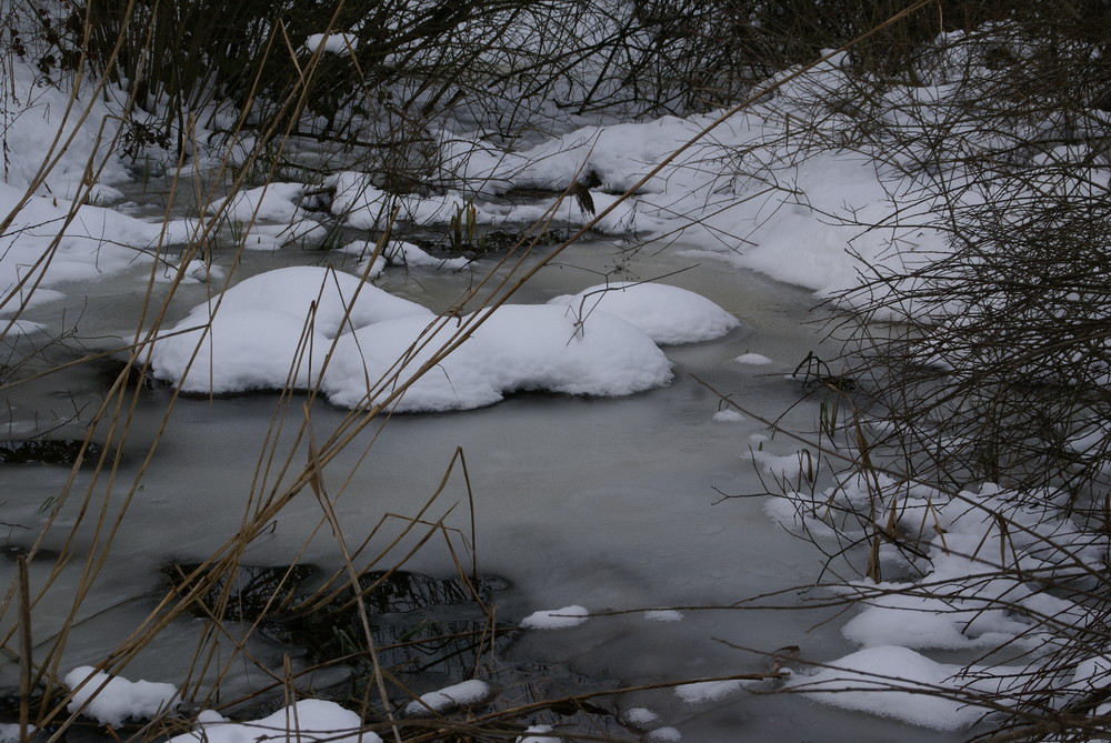 Winterzauber 2009